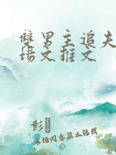 双男主追夫火葬场文推文