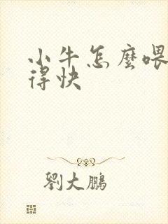 小牛怎么喂养长得快