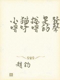 小猫总是发出呼噜呼噜的声音是怎么回事