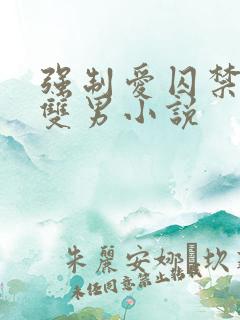 强制爱囚禁调教双男小说