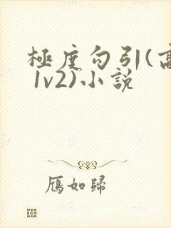极度勾引(高h 1v2)小说