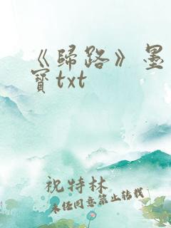 《归路》墨宝非宝txt