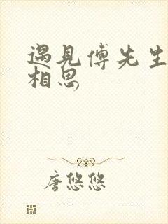 遇见傅先生无尽相思