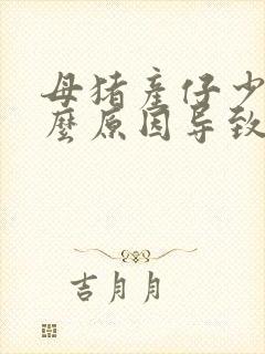 母猪产仔少是什么原因导致