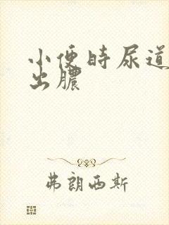 小便时尿道刺痛出脓