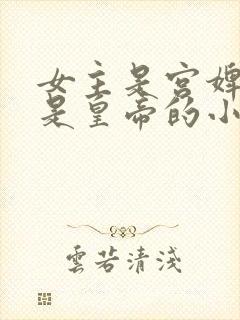 女主是宫婢男主是皇帝的小说