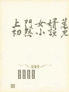 上门女婿叶辰萧初然小说免费阅读无弹窗