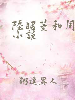 陆昭菱和周时阅小说