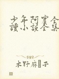 少年阿宾全文阅读小说全集下载