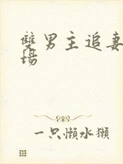 双男主追妻火葬场