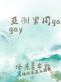 亚洲男同gaygay