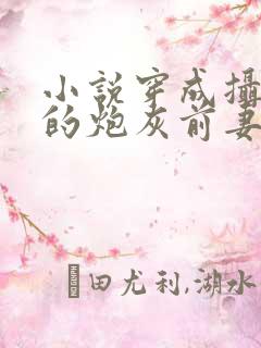 小说穿成摄政王的炮灰前妻