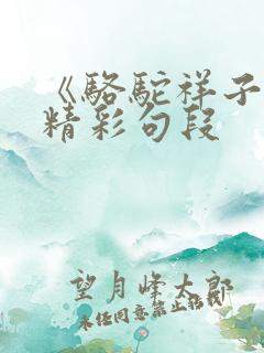 《骆驼祥子》的精彩句段