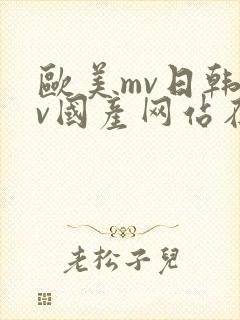 欧美mv日韩mv国产网站在线观看