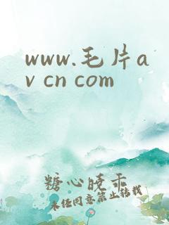 www.毛片av cn com