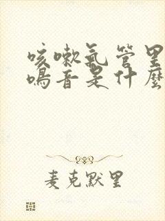 咳嗽气管里有哮鸣音是什么原因引起的