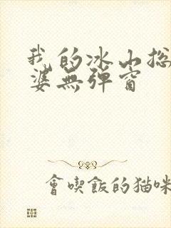 我的冰山总裁老婆无弹窗