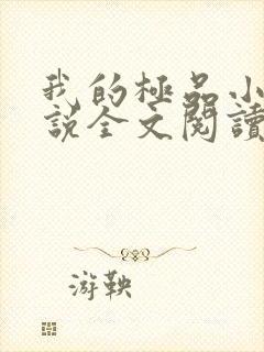 我的极品小姨小说全文阅读