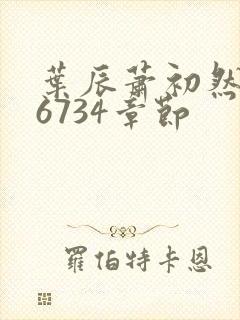 叶辰萧初然最新6734章节