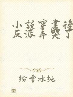 小说穿书后我把反派弄哭了