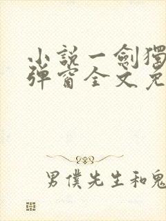 小说一剑独尊无弹窗全文免费阅读