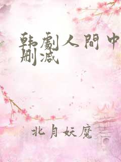 韩剧人间中毒无删减