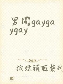 男同gaygaygay