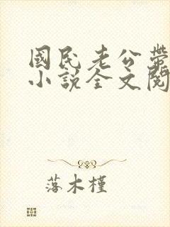 国民老公带回家小说全文阅读免费