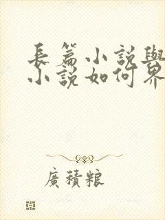 长篇小说与中篇小说如何界定