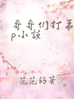 哥哥们打弟弟sp小说