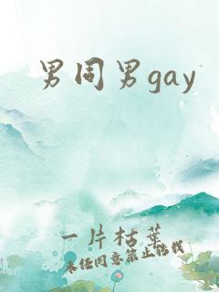 男同男gay