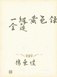 一级黄色录像潘金莲