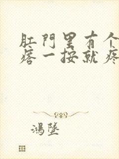 肛门里有个硬疙瘩一按就疼