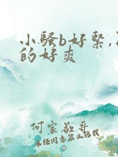 小骚b好紧,日的好爽