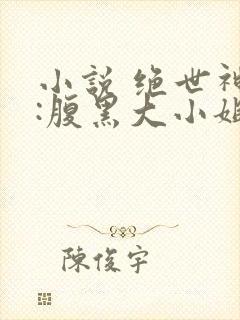 小说 绝世神医:腹黑大小姐