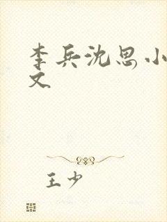 李兵沈思小说全文