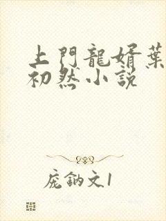 上门龙婿叶晨萧初然小说