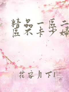 精品一区二区三区不卡少妇av