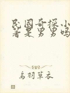 民国奇探小说原著是男男吗