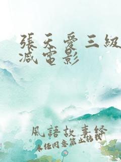 张天爱三级无删减电影