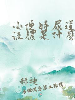 小便时尿道刺痛流脓是什么原因