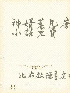 神婿叶凡唐若雪小说免费