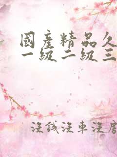 国产精品久久久一级二级三级