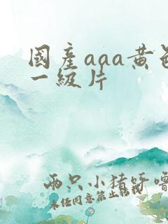 国产aaa黄色一级片