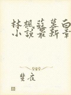 林枫苏慕白穿越小说最新章节