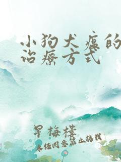 小狗犬瘟的所有治疗方式