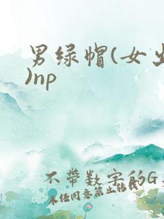 男绿帽(女出轨)np
