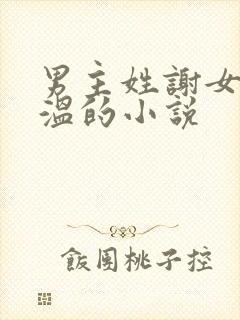 男主姓谢女主姓温的小说