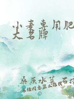 小麦专用肥料十大名牌