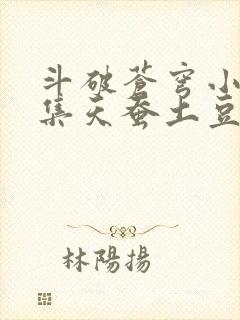 斗破苍穹小说续集天蚕土豆